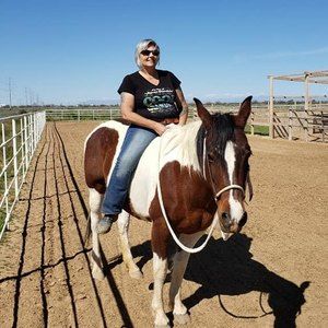 Meet your Posher, Dawn